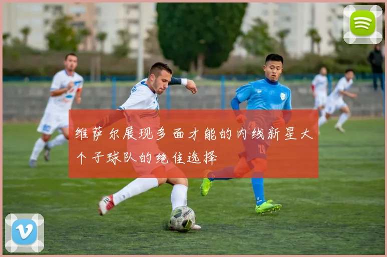 维萨尔展现多面才能的内线新星大个子球队的绝佳选择